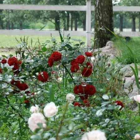 Elisabethhills 아파트 *